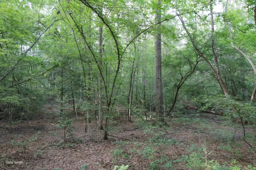 Picture 16