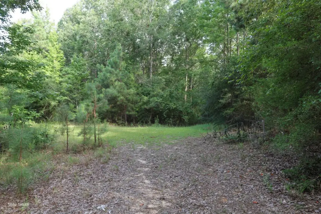 Picture 4
