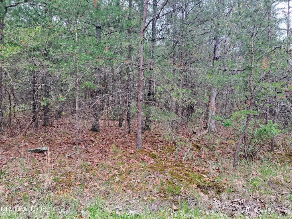 Picture 2