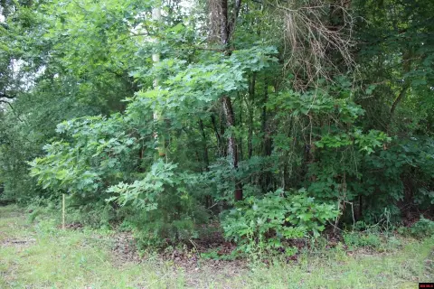 Lakeview Land Near Bull Shoals