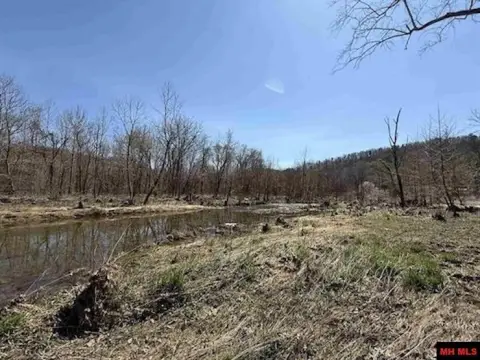 Ozark Land with Year-Round Creek