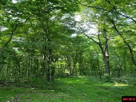 Unrestricted Land Near Buffalo River