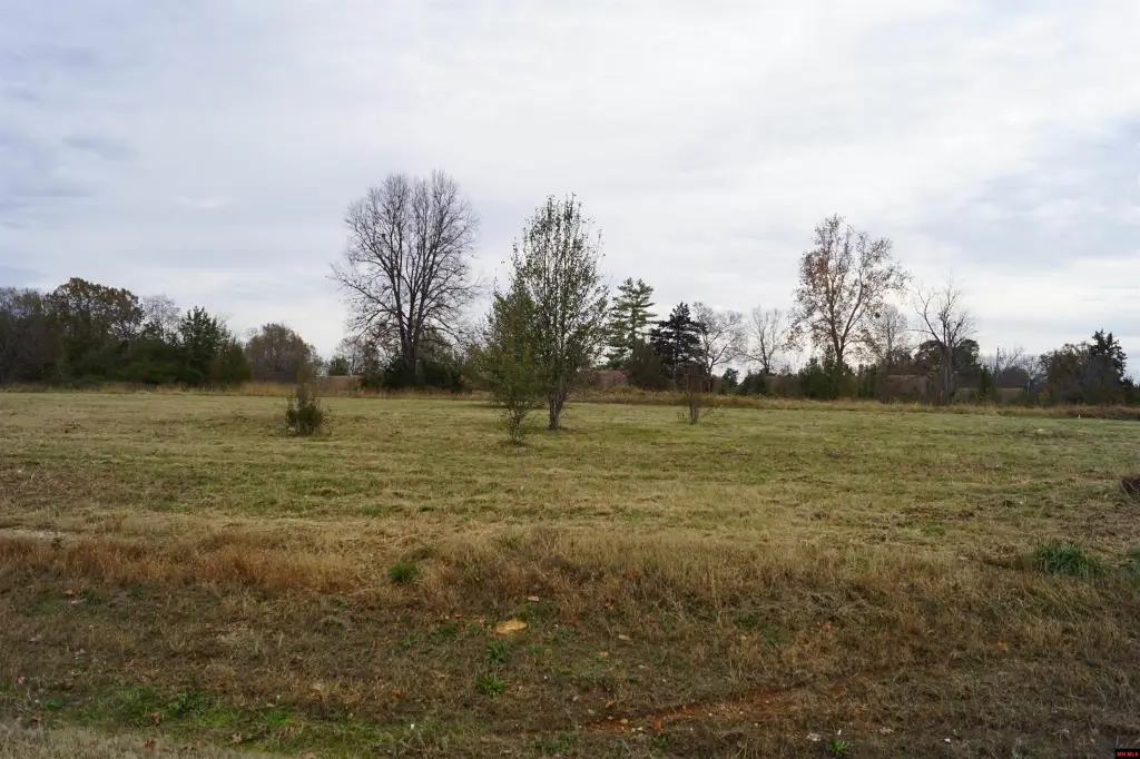 Picture 21