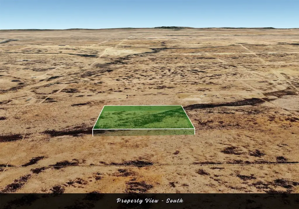 Picture 8