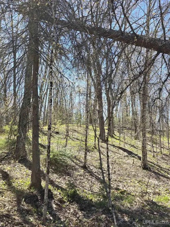 Picture 41