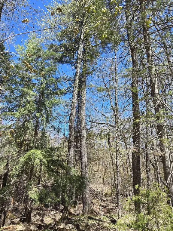 Picture 25