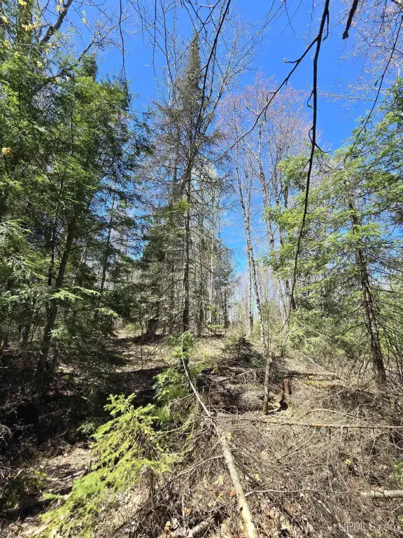 Picture 39