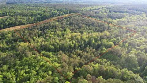 38 Acres in Century, Florida