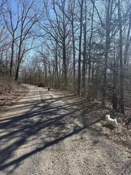 Wooded Recreation Land with Creek