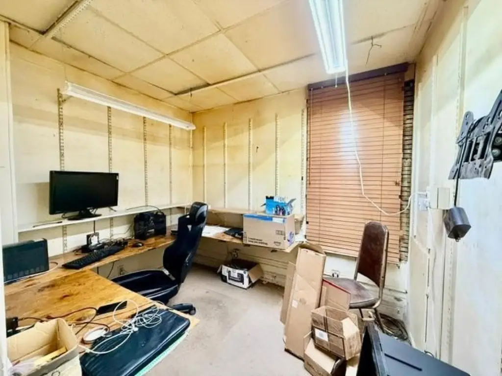 Picture 5