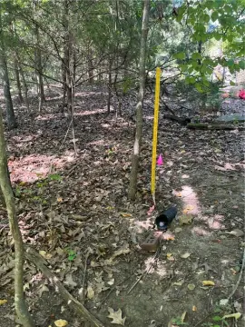 Wooded Lots Near Bull Shoals