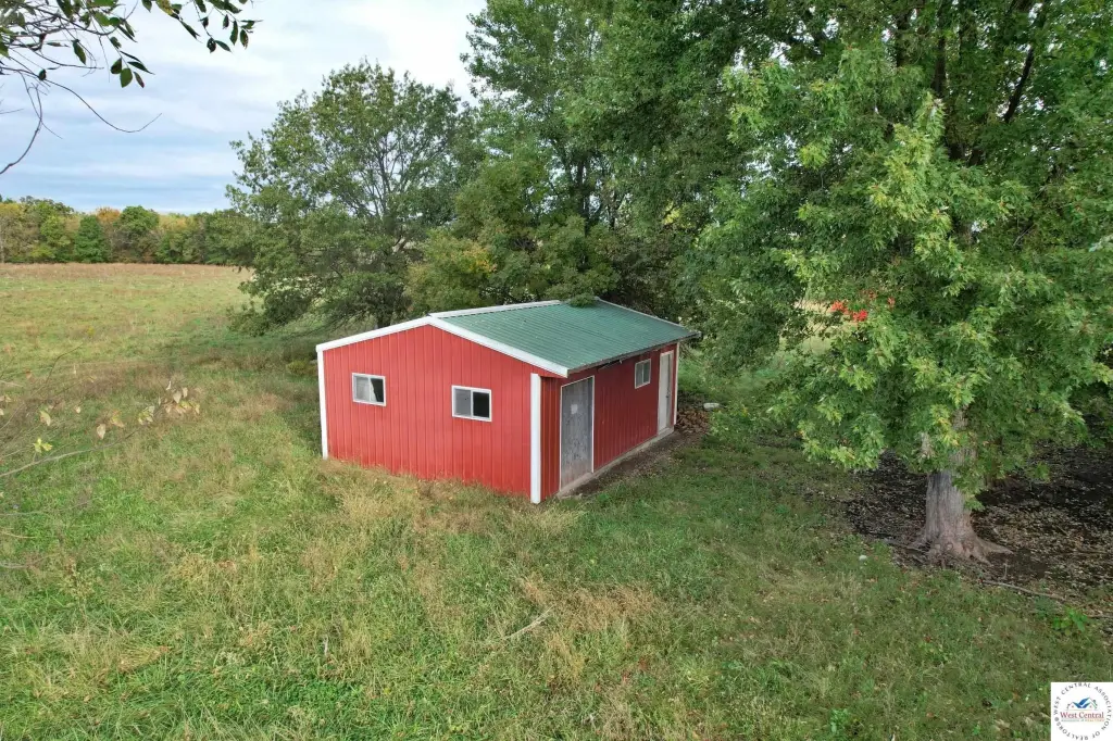 Picture 17