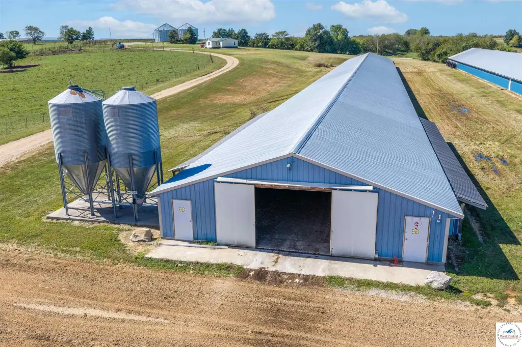 Picture 46