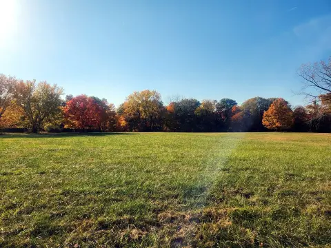 Recreational Land Near Lake Wildwood