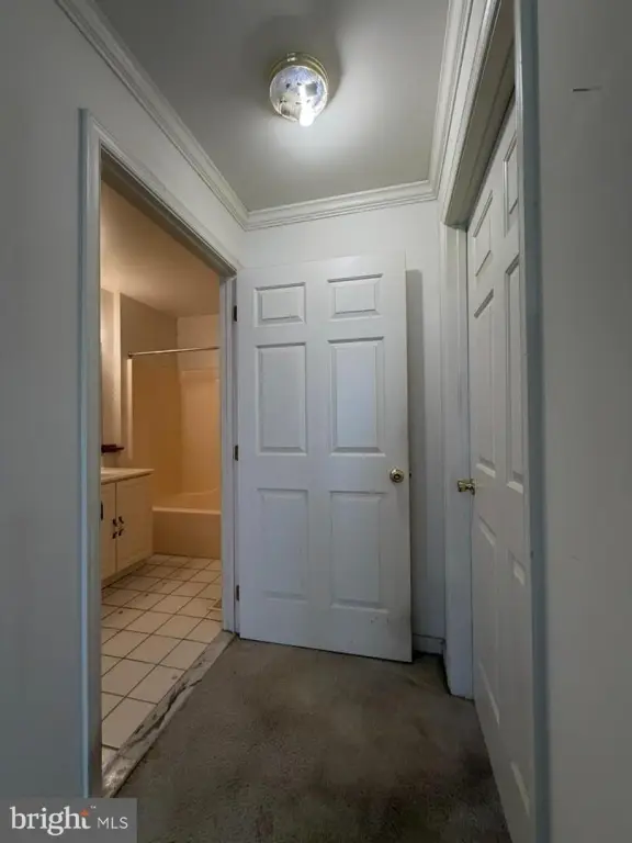 Picture 26