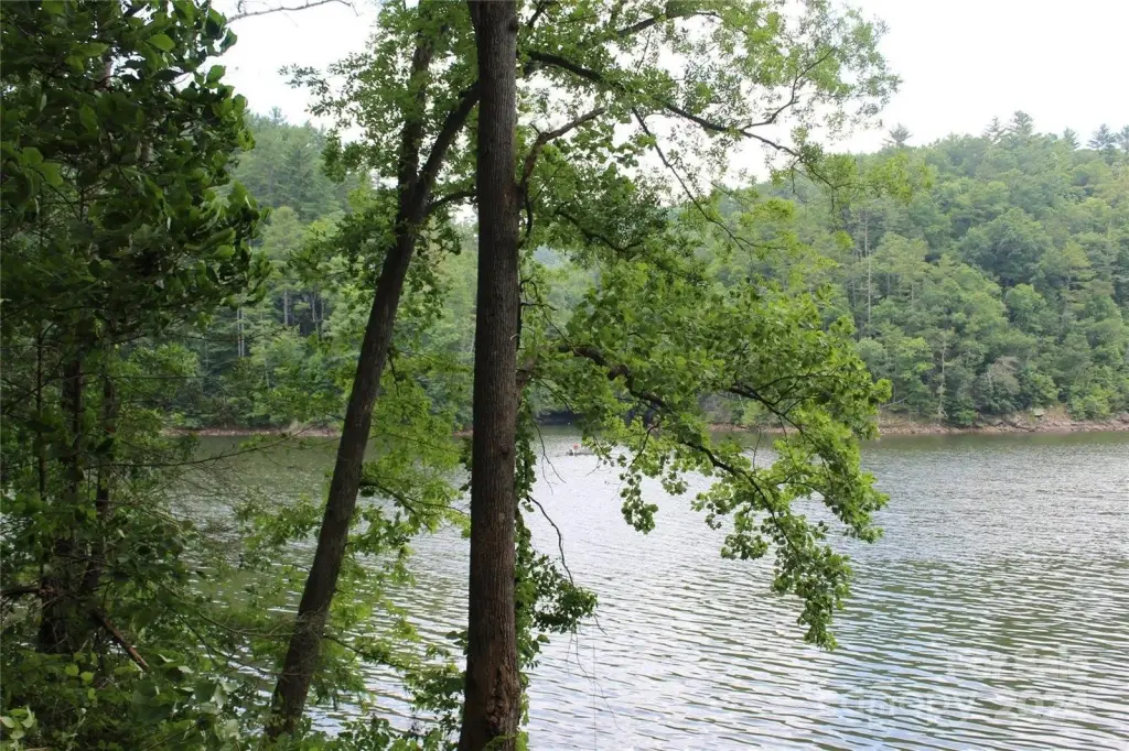 Picture 11