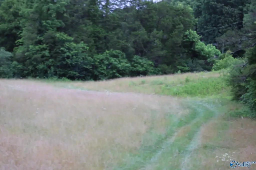 Picture 24
