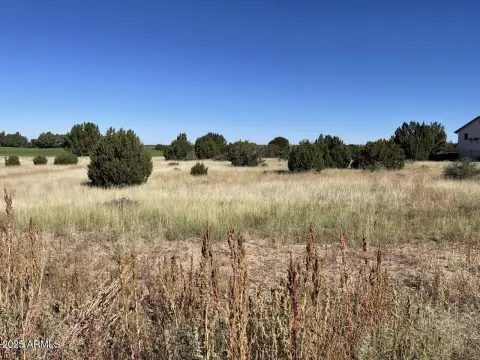 Corner Lot Near White Mountain