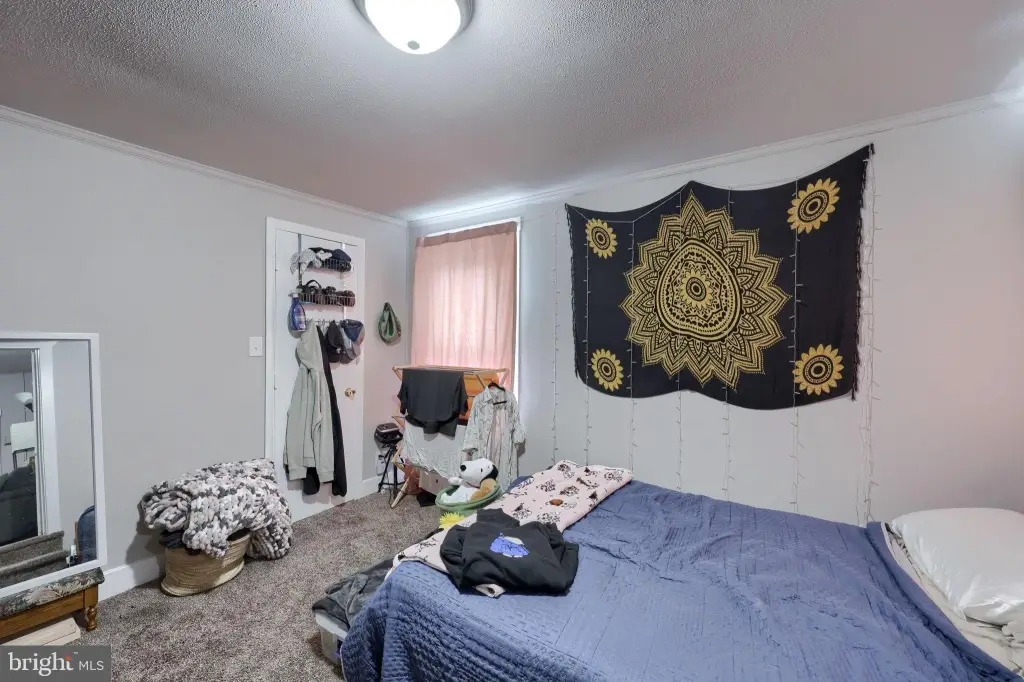 Picture 37