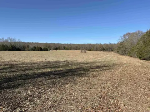 289.95 Acres of Rural Acreage