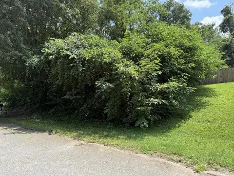 Residential Land in Established Neighborhood