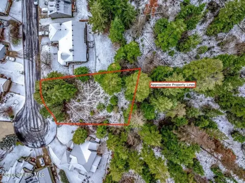 Coeur d'Alene Treed Lot