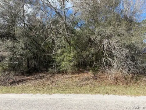 Residential Lot in Citrus Springs