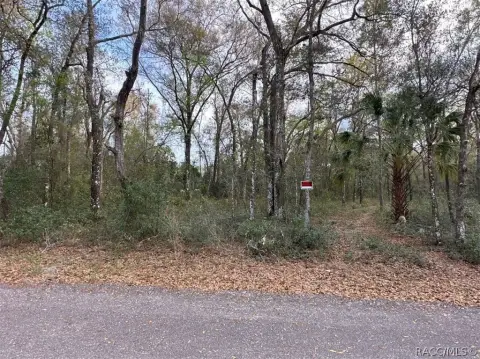 Residential Land in Inverness, FL