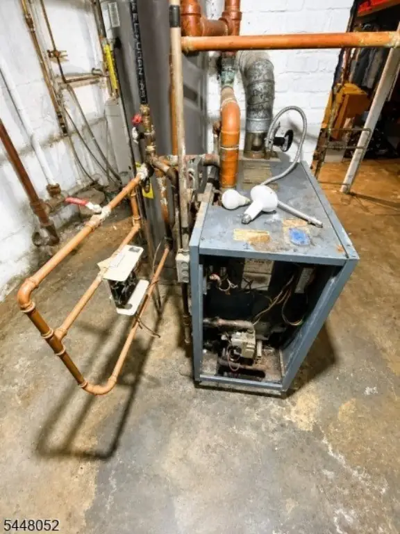 Picture 8