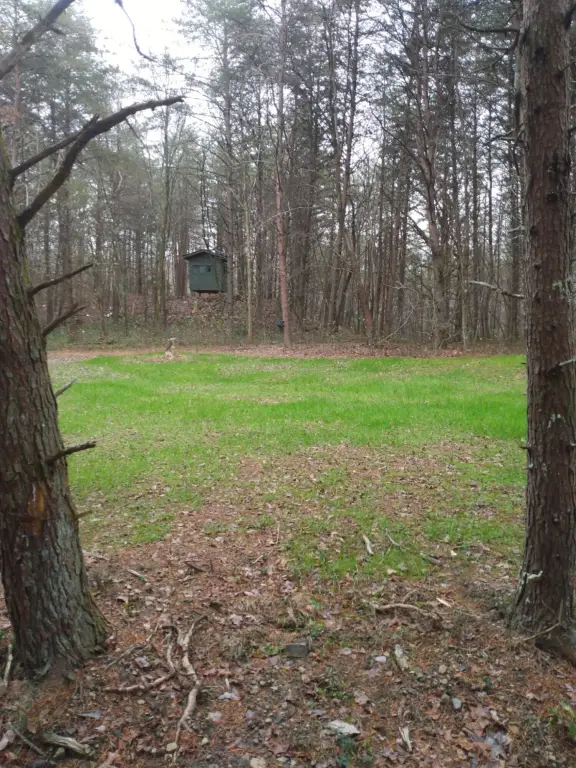 Picture 13