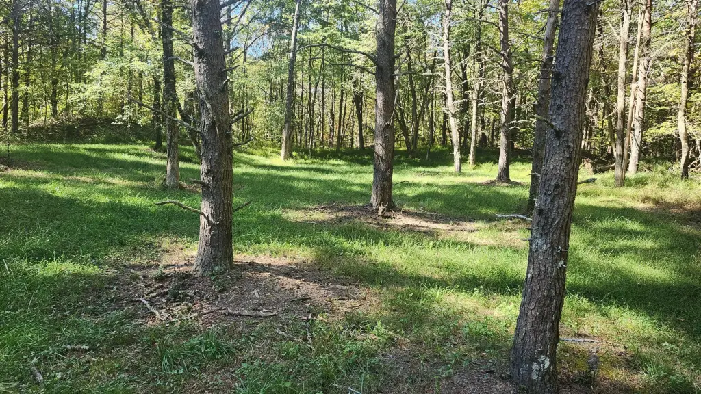 Picture 10