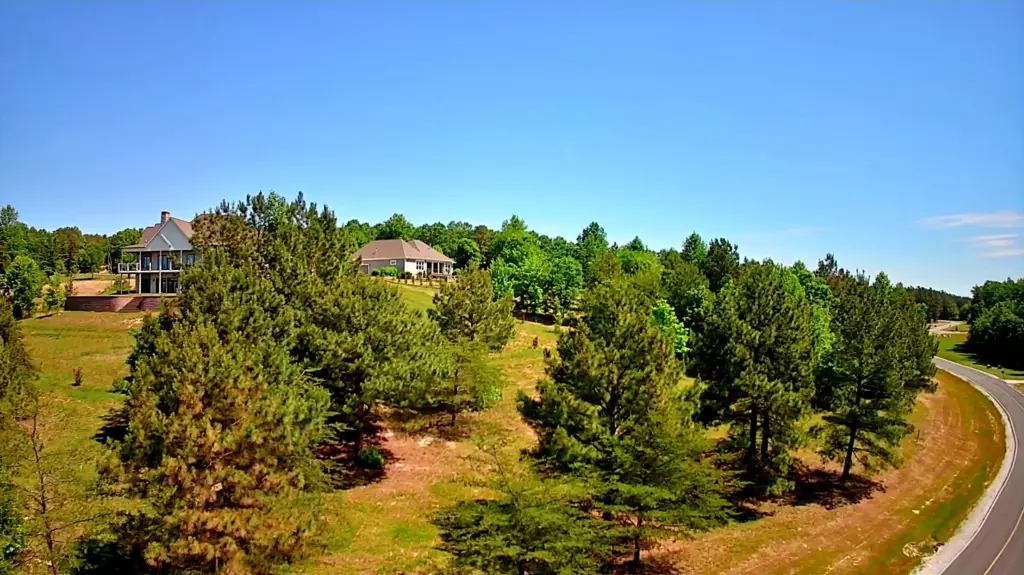 Picture 9