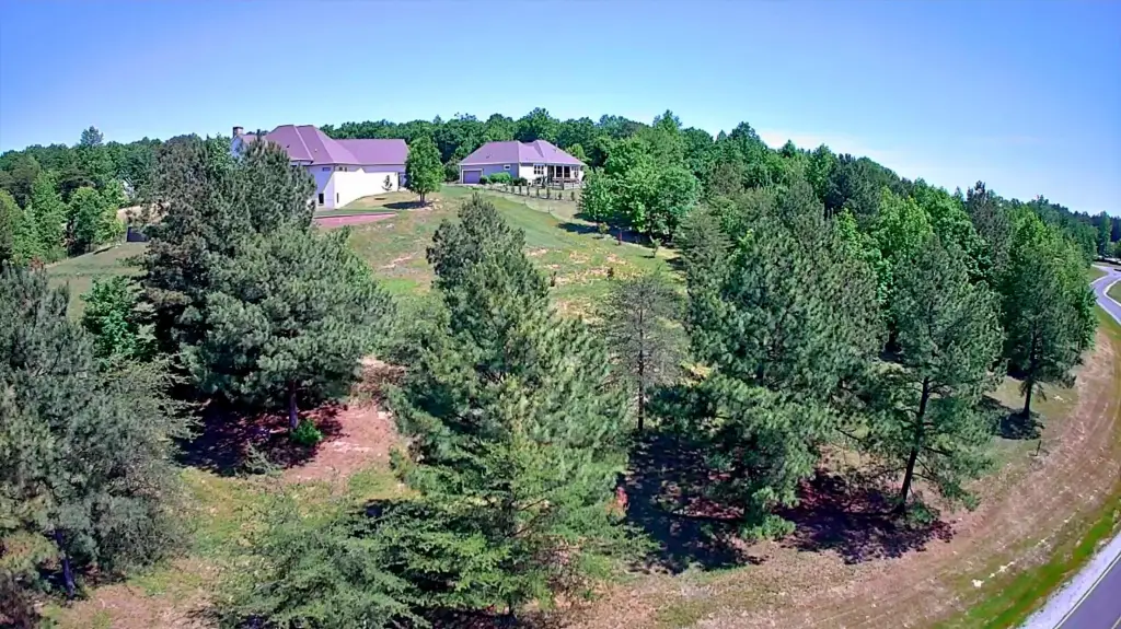 Picture 5