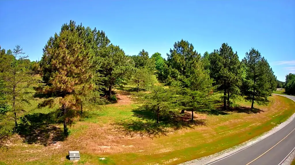 Picture 3