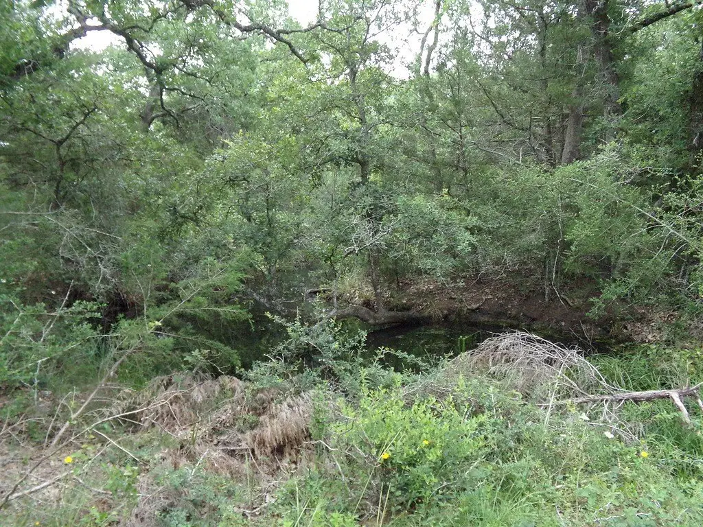 Picture 18