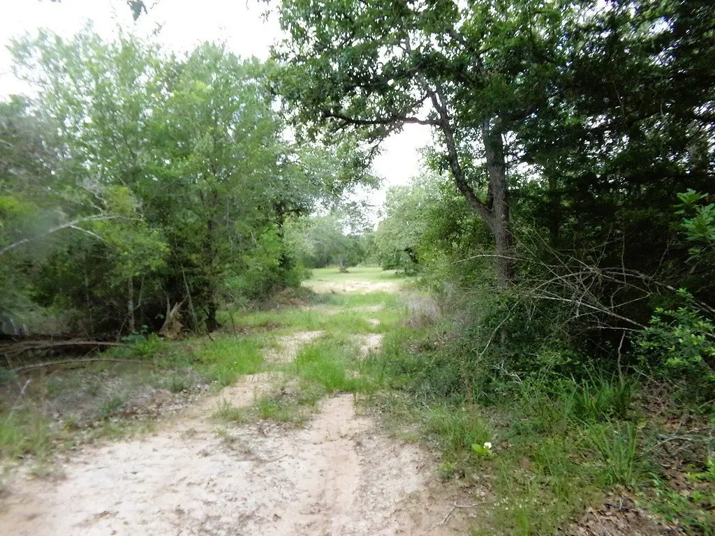 Picture 4