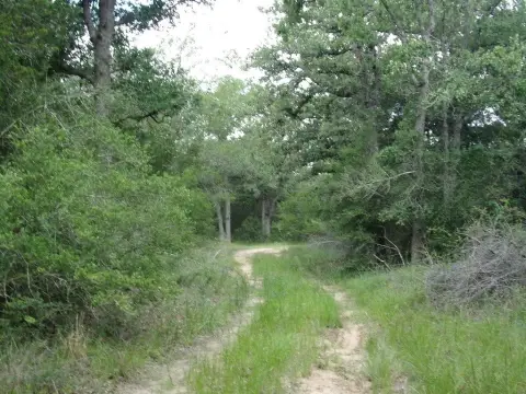 Fenced Hunting Land with Trails