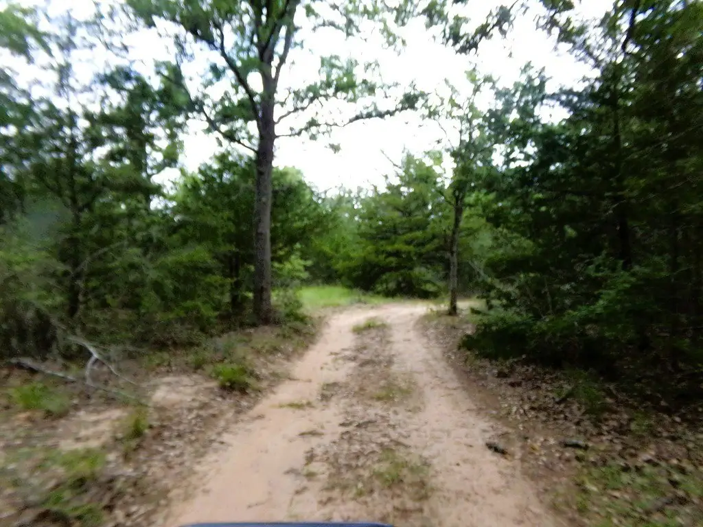 Picture 9