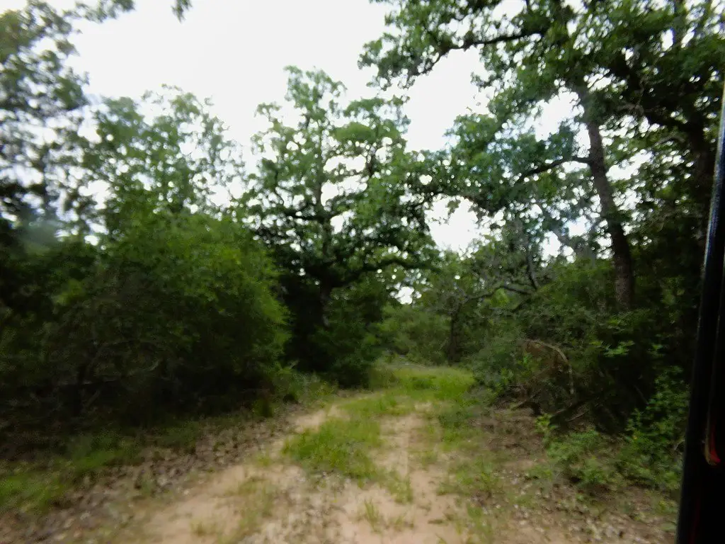 Picture 10
