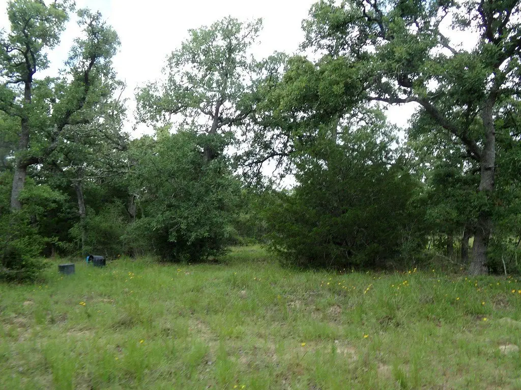Picture 16