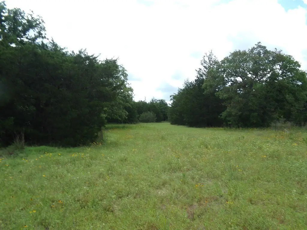 Picture 22