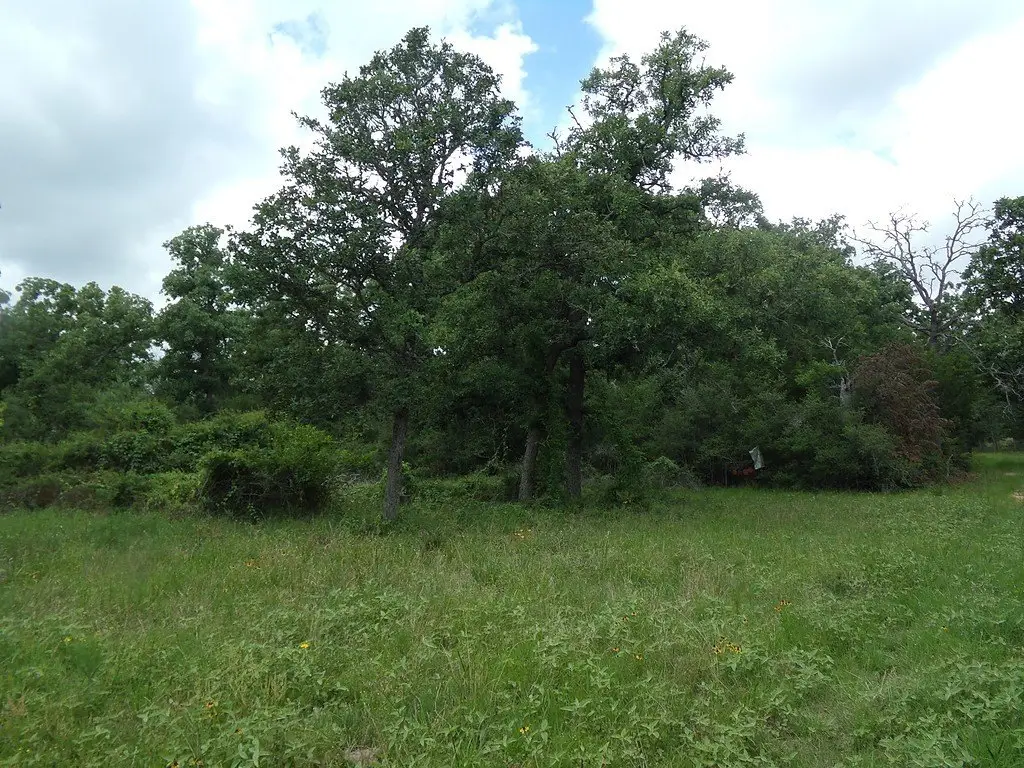Picture 14