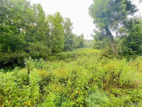 Wooded Hunting Land