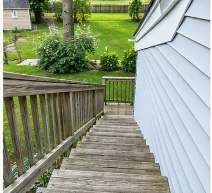 Picture 8