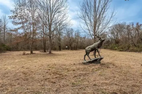 Talco, TX Hunting Land