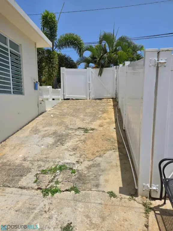 Picture 19