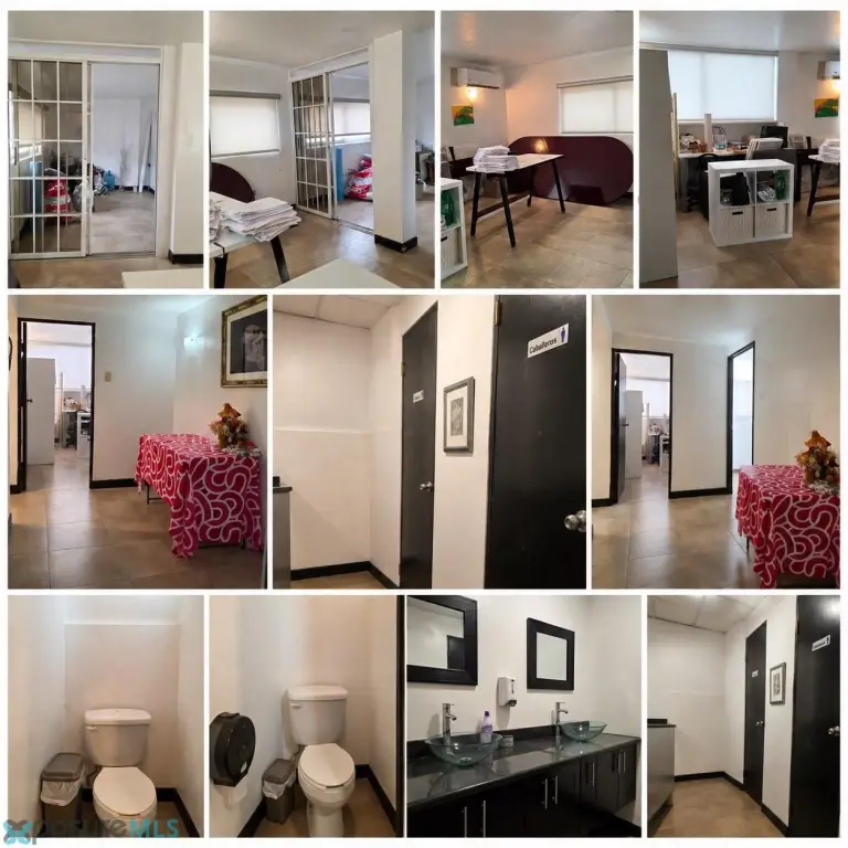 Picture 8