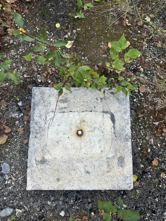Picture 15