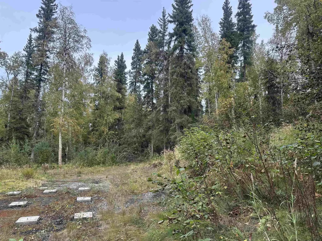 Picture 22
