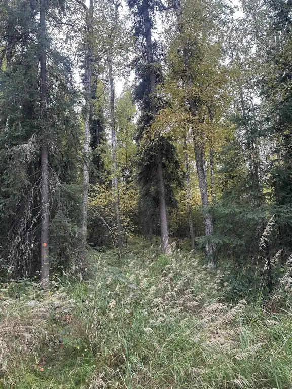 Picture 19